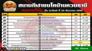 สรุปผลวัวชน24-12-66