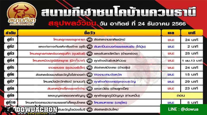 สรุปผลวัวชน24-12-66