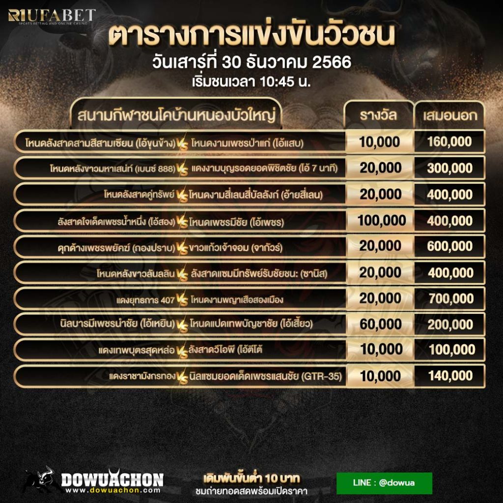 โปรแกรมวัวชน30-12-66