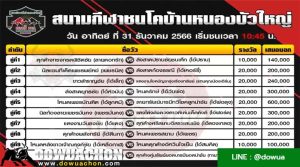 โปรแกรมวัวชน31-12-66