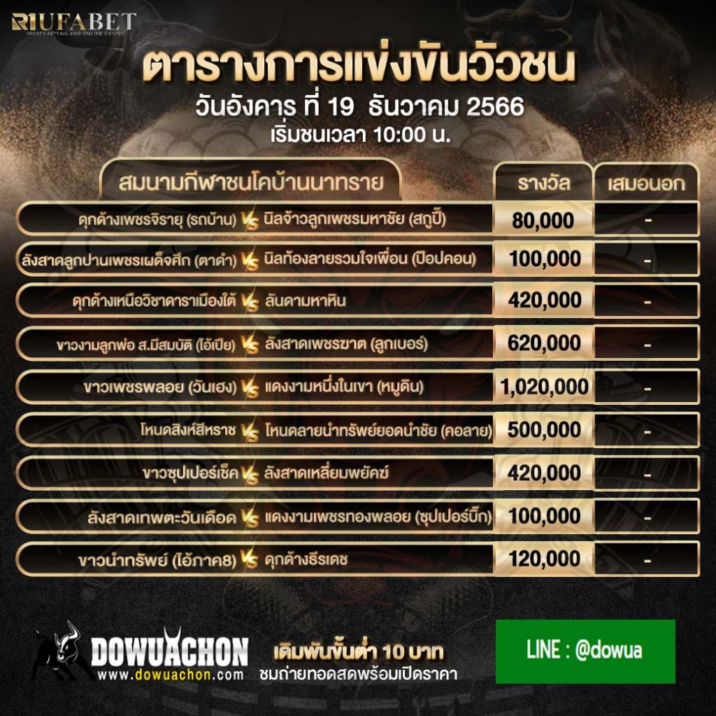 โปรแกรมวัวชน19-12-66
