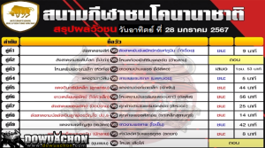 ผลวัวชน28-01-67