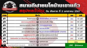 สรุปผลวัวชน02-01-67