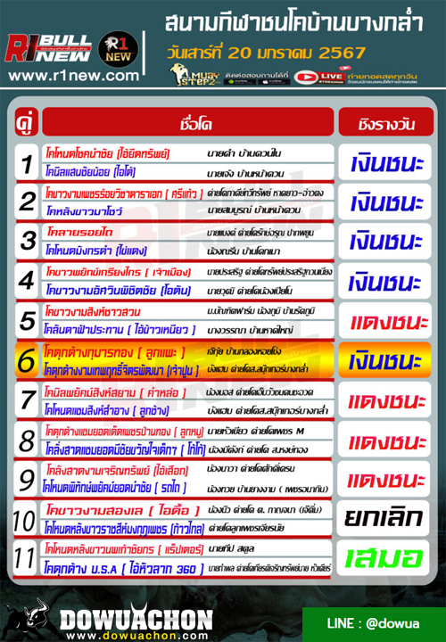 ผลวัวชน20-01-67