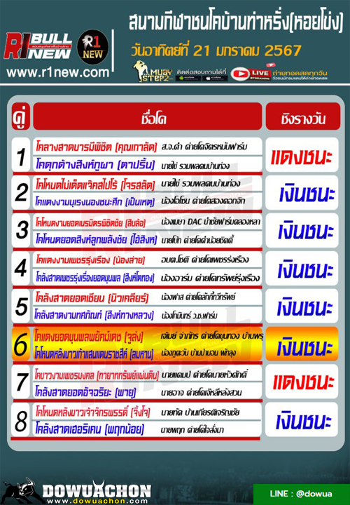 ผลวัวชน21-01-67