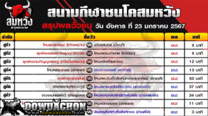 ผลวัวชน23-01-67
