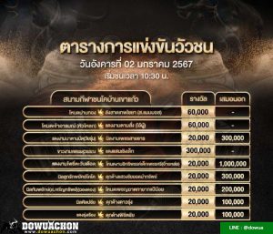 ตารางวัวชน02-01-67