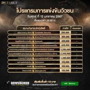 ตารางวัวชน12-01-67