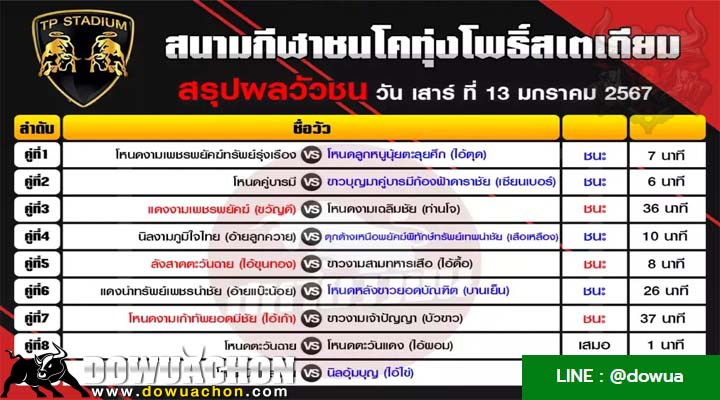 สรุปผลวัวชน13-01-67