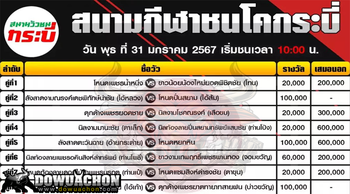 ตารางวัวชน31-01-67