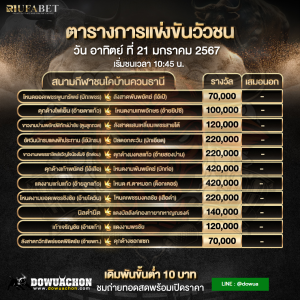 ตารางวัวชน21-01-67