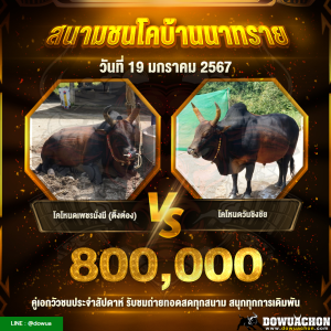 ติ๊งต๋องVSวันชิงชัย