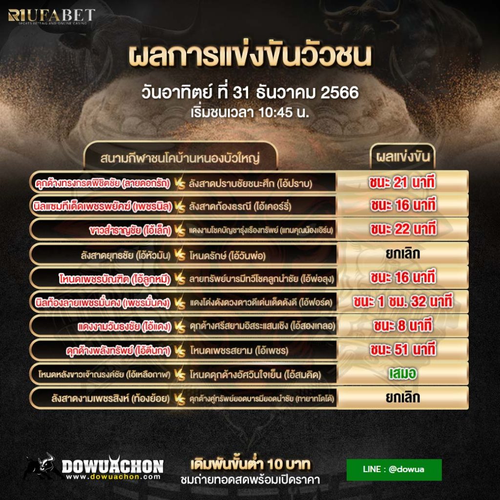 สรุปผลวัวชน31-12-66