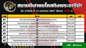ตารางวัวชน14-01-67