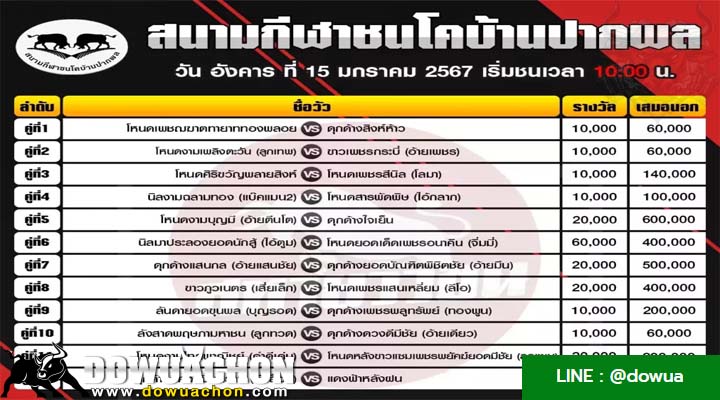 ตารางวัวชน15-01-67