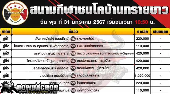 โปรแกรมวัวชน31-01-67