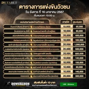 ตารางวัวชน16-01-67