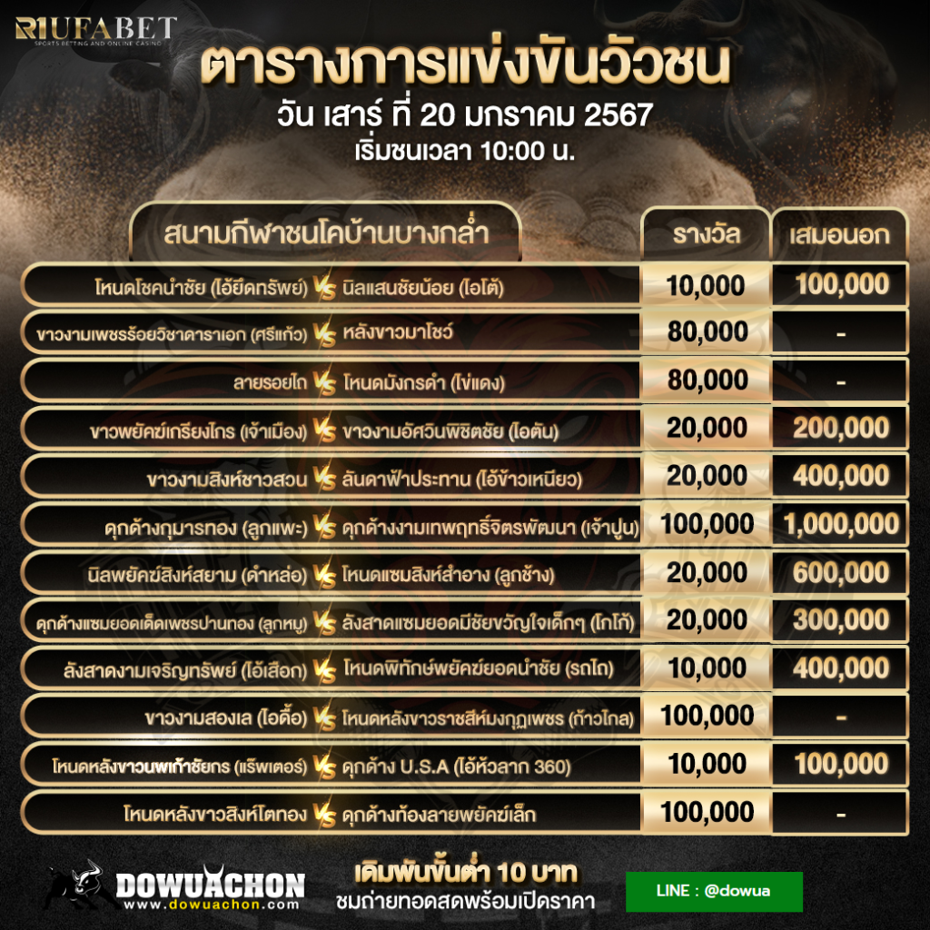 โปรแกรมวัวชน20-01-67