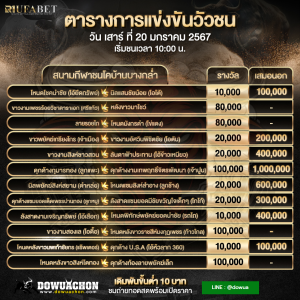 โปรแกรมวัวชน20-01-67