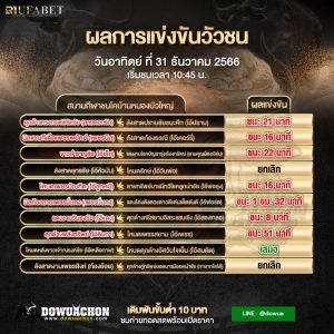 สรุปผลวัวชน31-12-66