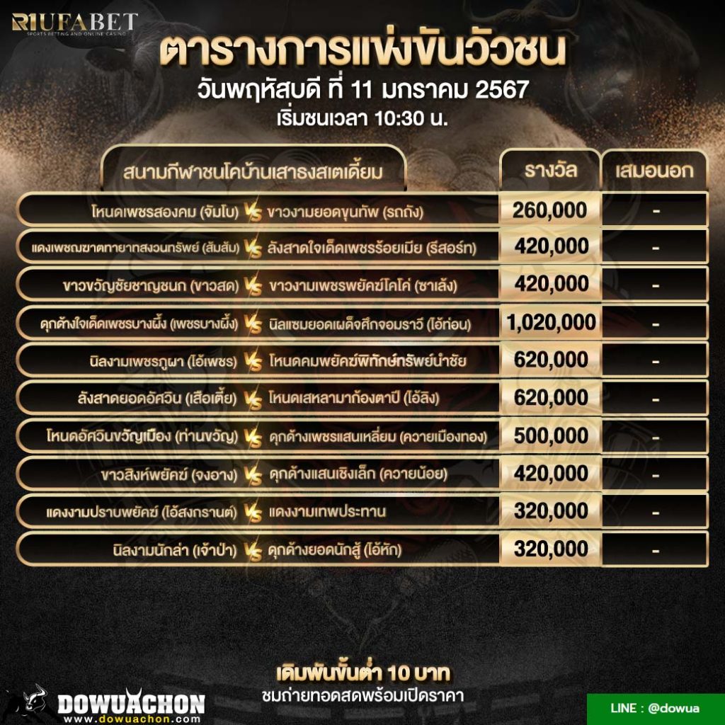 ตารางวัวชน11-01-67