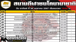 การแข่งขันวัวชน28-01-67