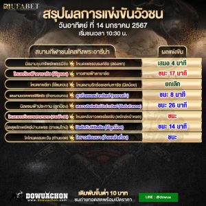 ผลวัวชน14-01-67
