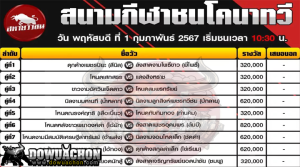 การแข่งขันวัวชน01-02-67