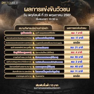 ผลแข่งขันวัวชน23-5-67