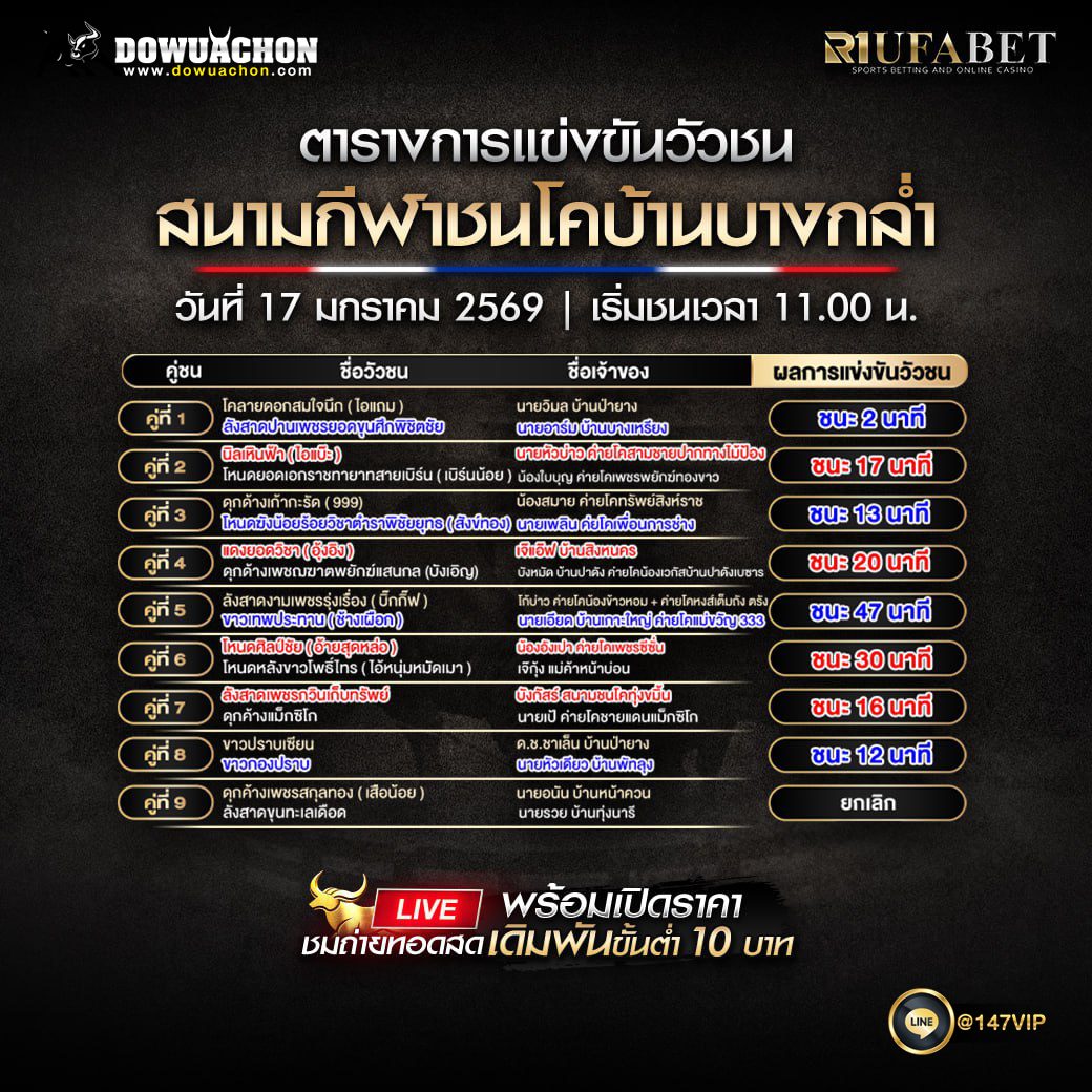 ผลการแข่งขันวัวชน17-01-69 ศึกวัวชนเดือดบ้านบางกล่ำ