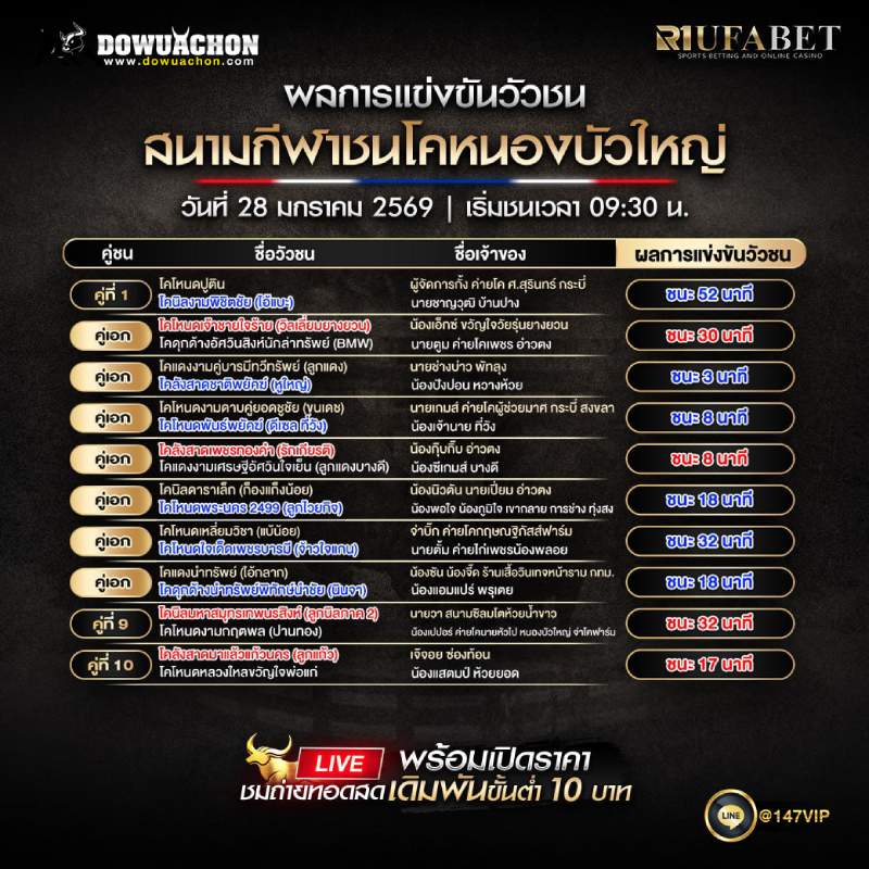 ผลการแข่งขันวัวชน 28-1-69 สนามกีฬาชนโคหนองบัวใหญ่