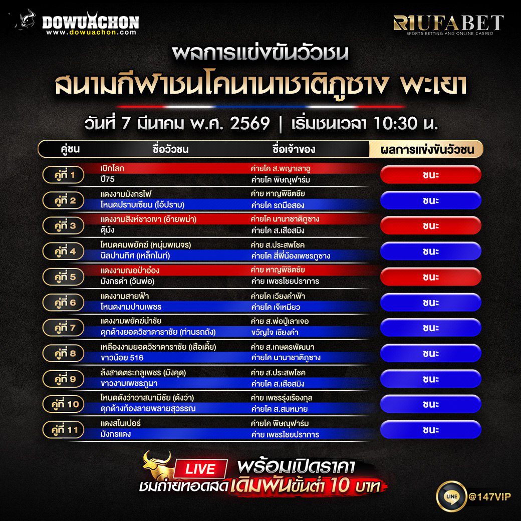 ผลการแข่งขันวัวชน08-03-69 สนามกีฬาชนโคนานาชาติภูซาง จ.พะเยา